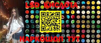 стафф Новокубанск