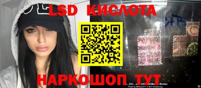 гидра Новодвинск