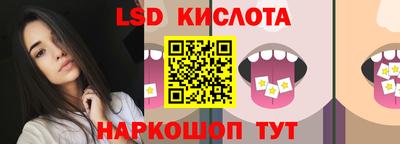 гидра Новодвинск