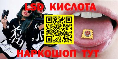 гидра Новодвинск
