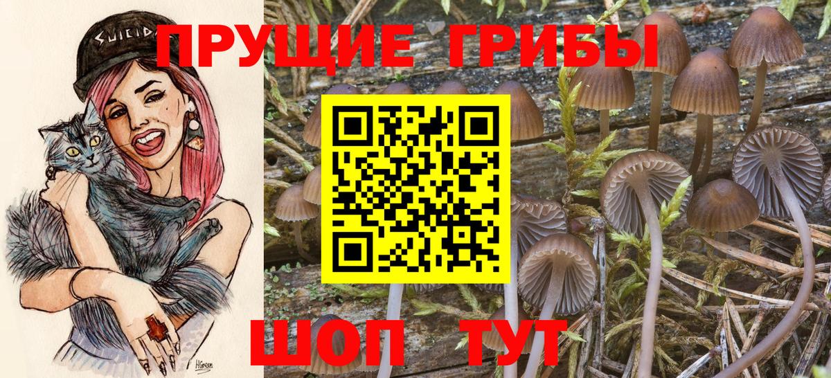 Галлюциногенные грибы MAGIC MUSHROOMS Северобайкальск