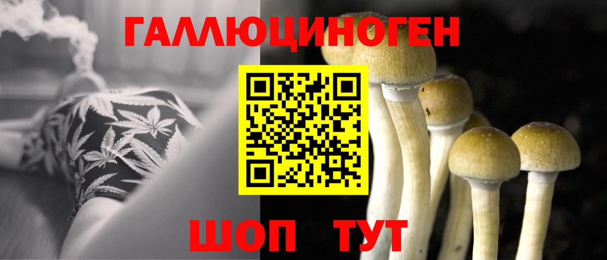 Галлюциногенные грибы GOLDEN TEACHER  Вход с VPN  Северобайкальск 
